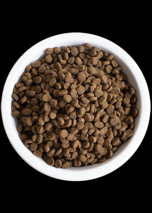 Open Farm Kitten Grain-Free Dry Cat Food 4lb - Poudre Pet and Feed Supply